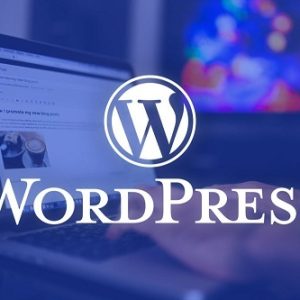 فیلم آموزش گذاشتن کد کپچا و کد امنیتی روی وردپرس و ووکامرس